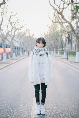 陆贞传奇电视剧在线观看免费全集