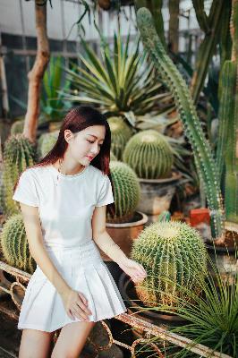 无颜之月动漫第一季全集