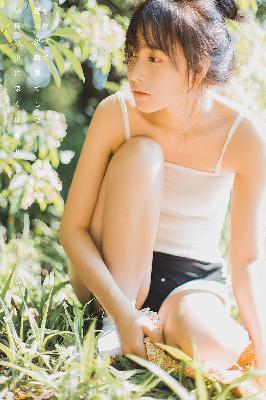 知否知否应是绿肥红瘦电视剧全集免费